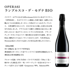 【デリシャエール】OPERA02ランブルスコ×シチューハンバーグとローストビーフ　7833175 4枚目の画像