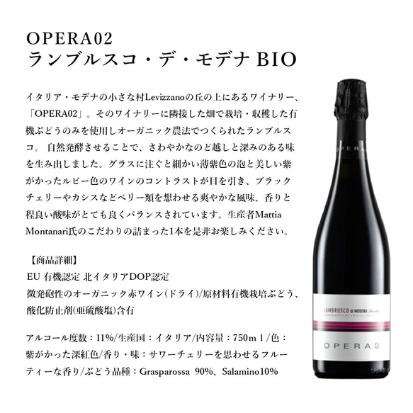 【デリシャエール】OPERA02ランブルスコ×シチューハンバーグとローストビーフ　7833175 4枚目の画像