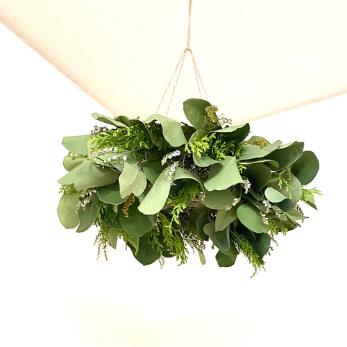 ユーカリ　フライングリース ユーカリのフライングリース オンラインショップにて再販しま