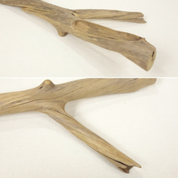 【温泉流木】ダイナミックな穴があるＹ字枝流木 枝 流木素材 インテリア素材 木材 3枚目の画像