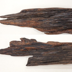 【温泉流木】幹の木の皮そのままの美しくダークな流木台座 台座 流木インテリア 5枚目の画像