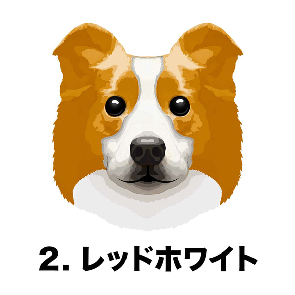【 ボーダーコリー 毛色2色】タオルハンカチ　ピンク＆ブルー2枚セット　プレゼント　犬　うちの子　200ｍｍｘ200ｍｍ 4枚目の画像