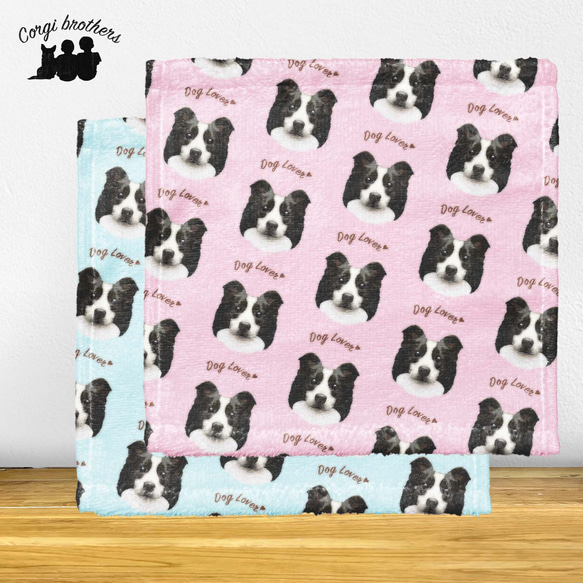 【 ボーダーコリー 毛色2色】タオルハンカチ　ピンク＆ブルー2枚セット　プレゼント　犬　うちの子　200ｍｍｘ200ｍｍ 1枚目の画像