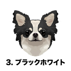 【 チワワ ロングコート 毛色6色 】タオルハンカチ　ピンク＆ブルー2枚セット　犬　うちの子　200ｍｍｘ200ｍｍ 5枚目の画像