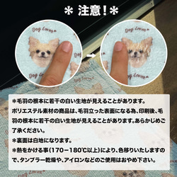 【 チワワ ロングコート 毛色6色 】タオルハンカチ　ピンク＆ブルー2枚セット　犬　うちの子　200ｍｍｘ200ｍｍ 11枚目の画像