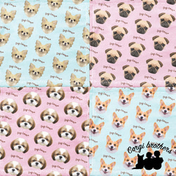 【 チワワ ロングコート 毛色6色 】タオルハンカチ　ピンク＆ブルー2枚セット　犬　うちの子　200ｍｍｘ200ｍｍ 12枚目の画像