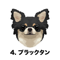 【 チワワ ロングコート 毛色6色 】タオルハンカチ　ピンク＆ブルー2枚セット　犬　うちの子　200ｍｍｘ200ｍｍ 6枚目の画像