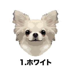 【 チワワ ロングコート 毛色6色 】タオルハンカチ　ピンク＆ブルー2枚セット　犬　うちの子　200ｍｍｘ200ｍｍ 3枚目の画像