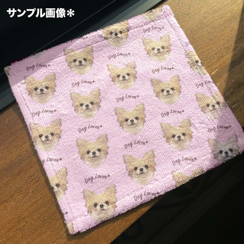 チワワ スムース 毛色6色 】タオルハンカチ ピンク＆ブルー2枚