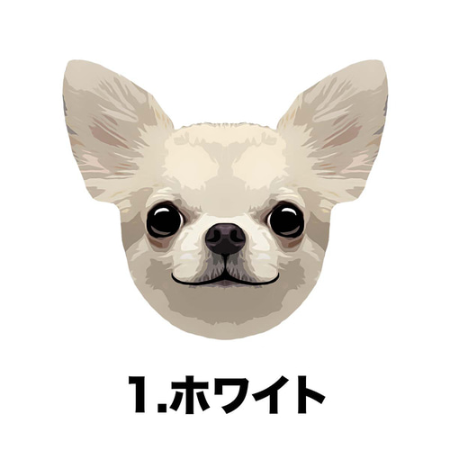 チワワ スムース 毛色6色 】タオルハンカチ ピンク＆ブルー2枚