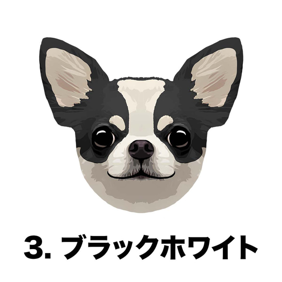【 チワワ スムース 毛色6色 】タオルハンカチ　ピンク＆ブルー2枚セット　犬　うちの子　200ｍｍｘ200ｍｍ 5枚目の画像