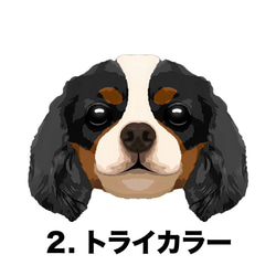 【 キャバリア 毛色4色 】タオルハンカチ　ピンク＆ブルー2枚セット　プレゼント　犬　うちの子　200ｍｍｘ200ｍｍ 4枚目の画像