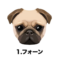 【 パグ 毛色2色 】タオルハンカチ　ピンク＆ブルー2枚セット　プレゼント　犬　うちの子　200ｍｍｘ200ｍｍ 3枚目の画像