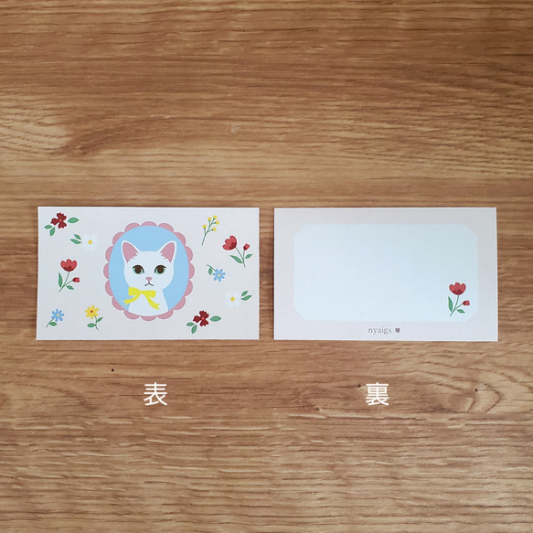 \new/ 10 張帶有白貓和植物花的留言卡◇* 第3張的照片