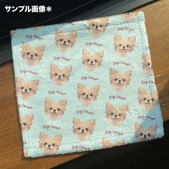 【 柴犬 毛色3色 】タオルハンカチ　ピンク＆ブルー2枚セット　プレゼント　犬　うちの子　200ｍｍｘ200ｍｍ 7枚目の画像