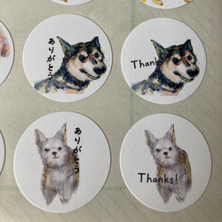わんちゃんシール　犬のシール　ハンドメイド　3cm 3枚目の画像
