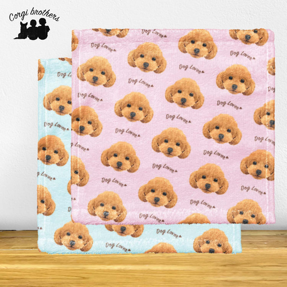 トイプードル 毛色7色】タオルハンカチ ピンク＆ブルー2枚セット