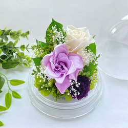 仏花  プリザーブドフラワー　クチナシとバラのクリアードームお供えアレンジ 紫系 1枚目の画像