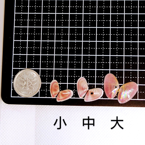 さくら‪✿［新品・貝殻光PET＆封口セット］ 封口 海外マステ 500枚 桜貝 穴あきのさくら貝 210727 - POPUCA'S GALLERY | minne 国内
