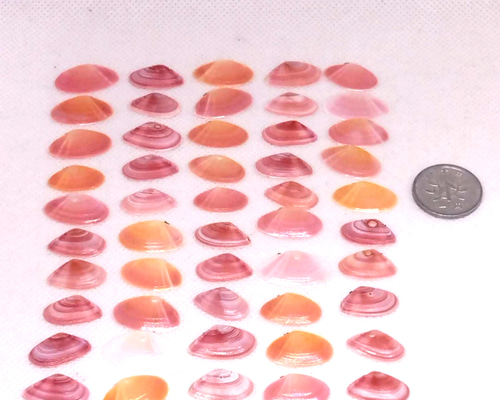 1e5ef6d6b3c4a91e8df6acefea46bf