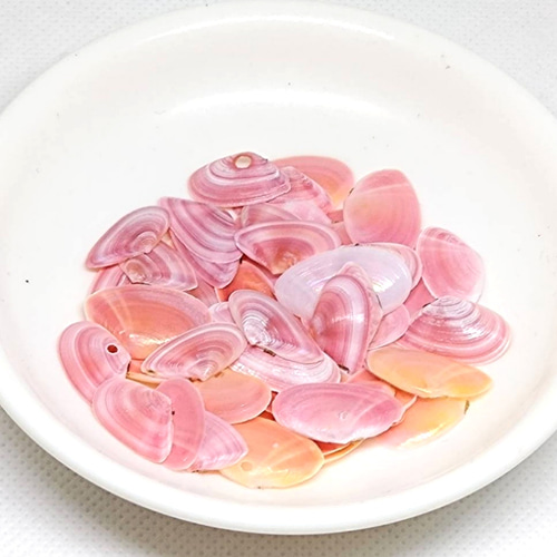 天然 桜貝 片貝 大サイズ 50枚 その他素材 puqoo 通販 14151908