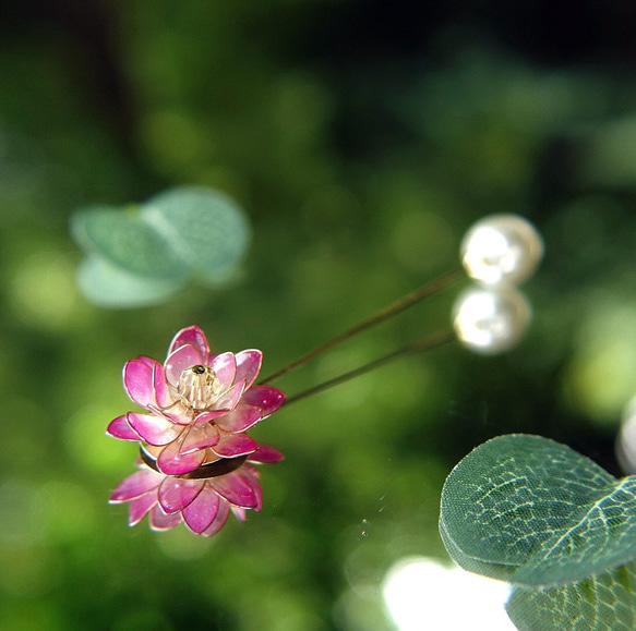 3way 蓮花帽別針、胸針、披肩別針、翻領別針：夏季花卉禮物睡蓮 第1張的照片