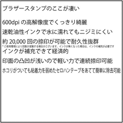 チェックボックスの中に斜線 スタンプ シャチハタ式　ブラザー訂正印 3枚目の画像