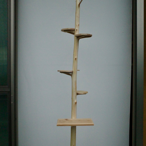 フラワースタンドハンガーラックコートハンガー天然吉野ヒノキ