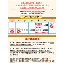 【ORIZURU菊青海波ギフト】赤フェザー　長寿祝い　還暦祝　古希祝　喜寿祝　米寿祝　敬老の日　誕生日 11枚目の画像