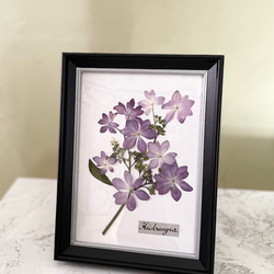 【完売】紫陽花ドライフラワー＊3Dインテリアフレーム♡ 【完売】紫陽花ドライフラワー＊3Dインテリアフレーム♡