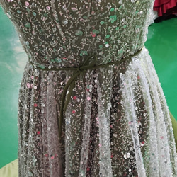 絢麗的發光顏色連衣裙閃亮的連衣裙邀請華麗的火車/婚禮/招待會 第7張的照片