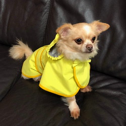 犬服　レインコート　撥水　雨の日のお散歩に 2枚目の画像