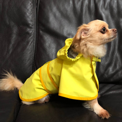 犬服　レインコート　撥水　雨の日のお散歩に 3枚目の画像