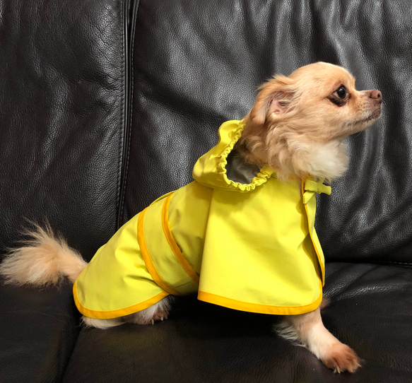 犬服　レインコート　撥水　雨の日のお散歩に 3枚目の画像