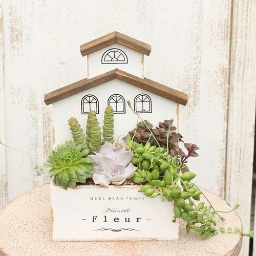 現品販売 多肉植物寄せ植え 木製 アンティークハウスポット アート