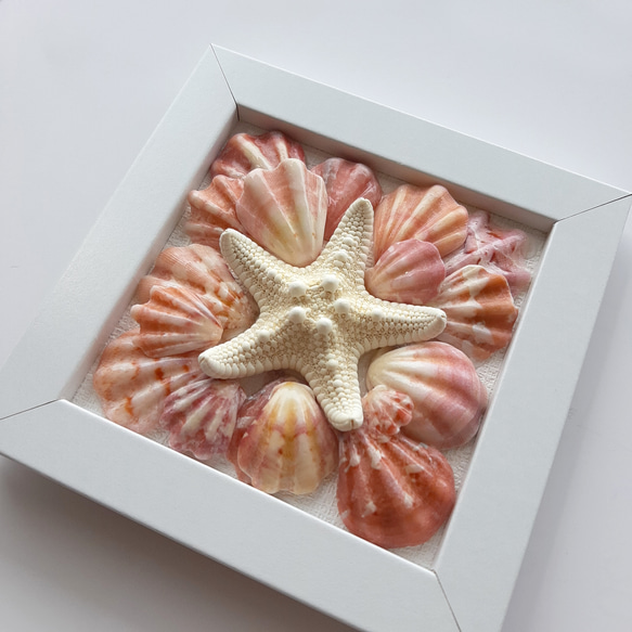 〈ピンク★スター〉貝殻アート 2枚目の画像