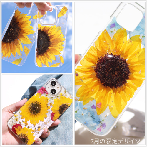 iPhone - ひまわりヒマワリ。 ひまわり | iPhone/スマホ壁紙ギャラリー
