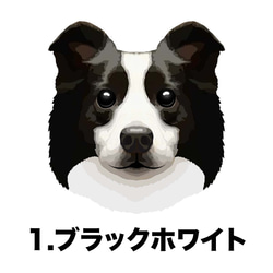 【 ボーダーコリー 毛色2色 パターン柄 】マグカップ　お家用　プレゼント　犬　うちの子　ペット　コーギーブラザーズ 2枚目の画像