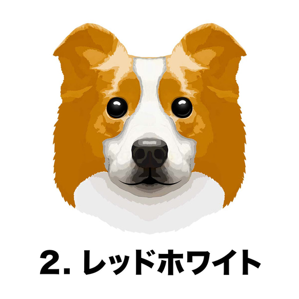 【 ボーダーコリー 毛色2色 パターン柄 】マグカップ　お家用　プレゼント　犬　うちの子　ペット　コーギーブラザーズ 3枚目の画像