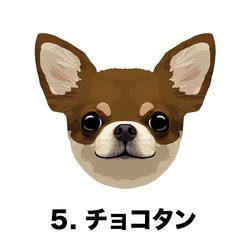 【 チワワ スムース 毛色6色 パターン柄 】マグカップ　お家用　プレゼント　犬　うちの子　ペット　コーギーブラザーズ 6枚目の画像