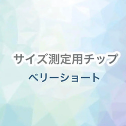 サイズ測定用チップ　ベリーショート　クリアチップ　ネイルチップ 1枚目の画像