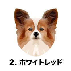 【 パピヨン 毛色4色 パターン柄 】マグカップ　お家用　プレゼント　犬　うちの子　ペット　コーギーブラザーズ 3枚目の画像