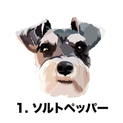 【 シュナウザー 毛色4色 パターン柄 】マグカップ　お家用　プレゼント　犬　うちの子　ペット　コーギーブラザーズ 2枚目の画像