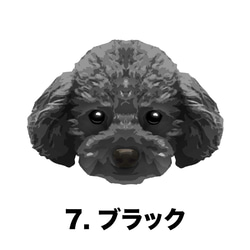 【 トイプードル 毛色7色 パターン柄 】マグカップ　お家用　プレゼント　犬　うちの子　ペット　コーギーブラザーズ 8枚目の画像