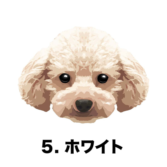 【 トイプードル 毛色7色 パターン柄 】マグカップ　お家用　プレゼント　犬　うちの子　ペット　コーギーブラザーズ 6枚目の画像