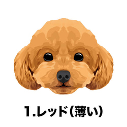 【 トイプードル  毛色7色 パターン柄 】マグカップ　お家用　プレゼント　犬　うちの子　ペット　コーギーブラザーズ 2枚目の画像