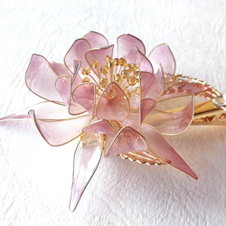 Moonlight beauty Hair clip 第4張的照片