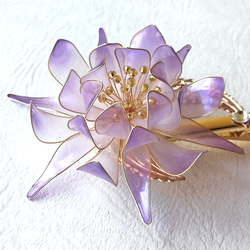 Moonlight beauty Hair clip 第5張的照片