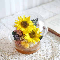 【完成品】ガラスドームＬ／ひまわり 2枚目の画像
