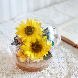 【完成品】ガラスドームＬ／ひまわり 3枚目の画像